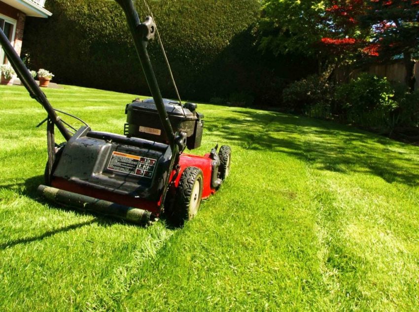 great lawn services